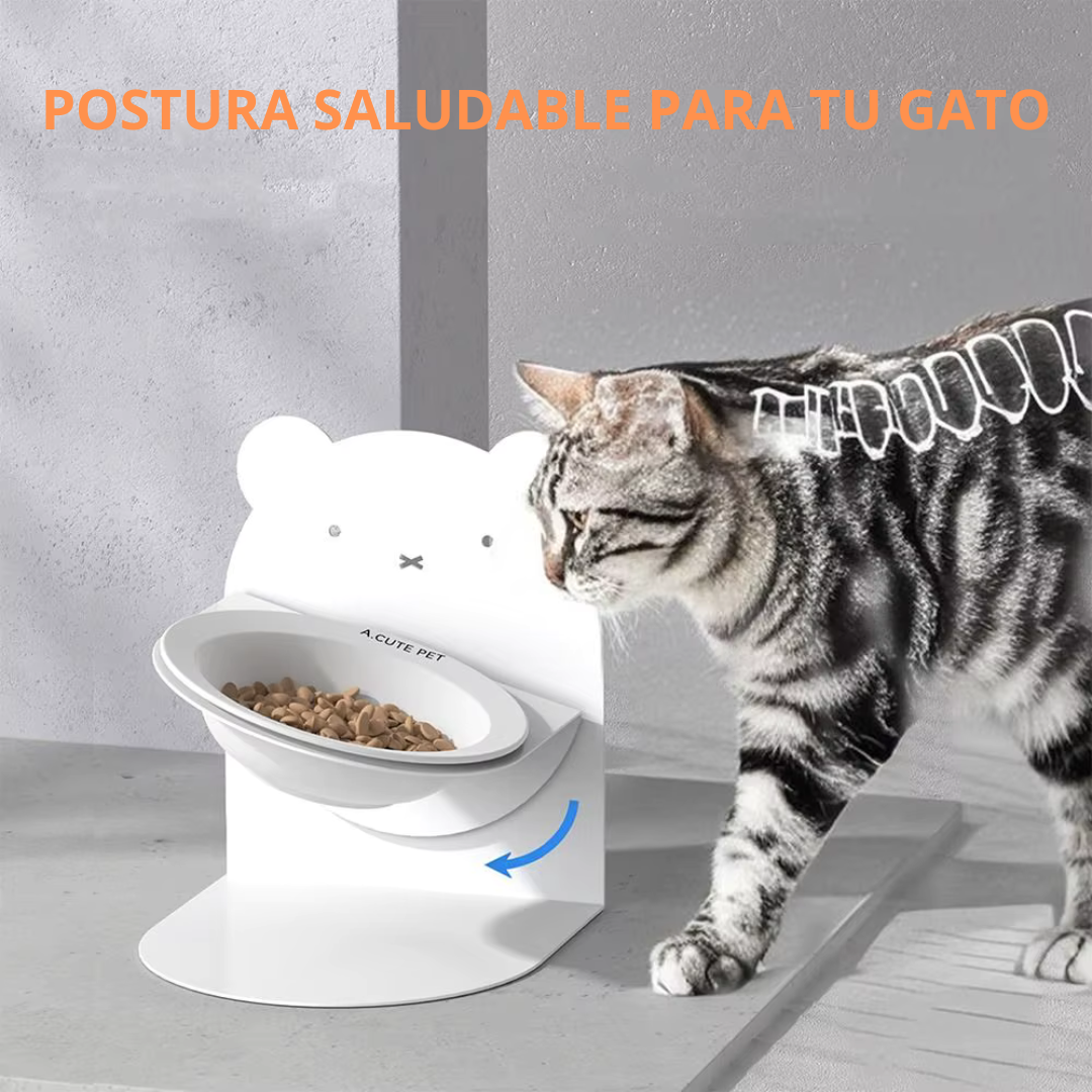 𝗖𝗢𝗠𝗘𝗗𝗘𝗥𝗢 / 𝗕𝗘𝗕𝗘𝗗𝗘𝗥𝗢 𝗖𝗔𝗧𝗖𝗢𝗠𝗙𝗢𝗥𝗧